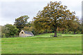 Oak tree west of the footpath in GL56 9QA