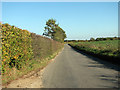 View along Litcham Road in PE32 2RT