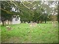 Churchyard, Manningford Abbotts (1) in SN9 6HX