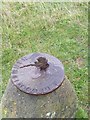 Frog Sundial on footpath in Nether Cerne CP in DT2 7AG