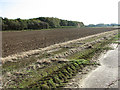 Field beside the perimeter track in PE32 2HT