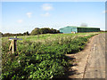 Public footpath on Great Massingham airfield in PE32 2HT