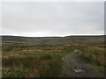 Pennine Way at Goaten Hill, Stanbury Moor in BD22 0HR