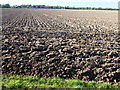 Perfectly ploughed in Kirton and Frampton Ward