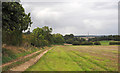 Field with track beside in PE32 2AD