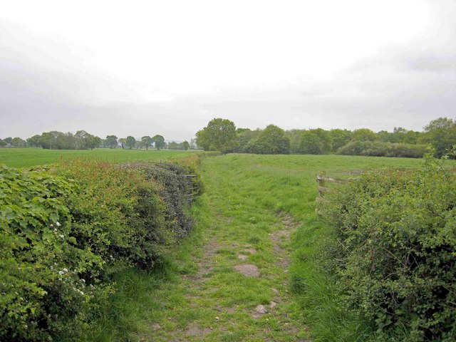 path at Brookhouse Moss in CW11 2WS