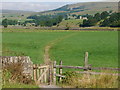 Gate on path to Askrigg from Worton in DL8 3JE