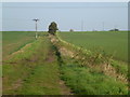 Parson's Drove near Stretham, Cambridgeshire in CB6 3LP