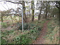 The beginning of the bridleway to Doddington in Skellingthorpe & Eagle Ward