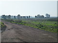 Farm track near Newmarket Road level crossing, Stretham in CB6 3FT