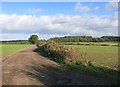 Track to Trumpletts Farm in RG18 0ST
