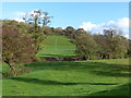 Looking across a field to the Afon Honddu - which can just be seen in NP7 7NB