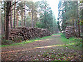 Stacks of logs in Kipton Heath in NR21 7DP