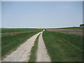 The Herepath on Avebury Down in SN8 1RE