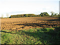 Cultivated field by Tythe Farm in PE32 2SX