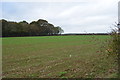 Field near Stubb's Cross in TN23 3UR