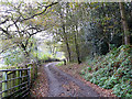 Bridleway to Ousborough Wood in DH9 0SE