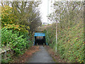 Subway under the A693 in DH2 1QJ