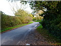 Minor road approaches Holly Cross from the west in RG26 5BH