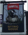 Sign for the Sitting Goose pub in PR4 0RL