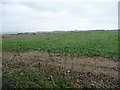 Farmland north-east of Gravel Hill in Hexton