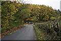 Autumn leaves and lane junction near Kerry in Kerry