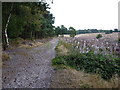 Bridleway down from Shoal Hill in WS12 4NF
