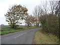 Autumn trees along the road to Apsley End in SG5 3HZ