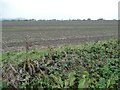 Field tinged with green, south-west of Shillington Manor in SG5 3HZ
