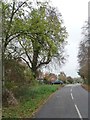Apsley End Road entering Apsley End from the south in SG5 3LX