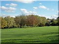 Golf course, Harlow in CM20 2GW