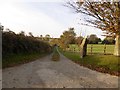 Access road to Furzelands in Bridford