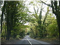 A346 near Leigh Hill Copse in SN8 3BH