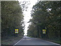 A338 near South Park Lodge in SP9 7TE