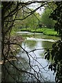 River Dun at Butts Green in SO51 0JB