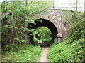 Railway Arch near Butt's Green in SO51 0JB