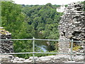 River Teifi at Cilgerran Castle in SA43 2LQ