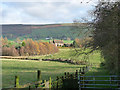 Fields near Black Dub farm in Carlatton