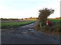 Harleston Road Postbox & entrance to Oak Farm in IP21 4PD
