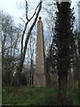 Obelisk at Weatherby Castle in DT11 0JS