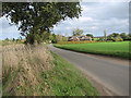 View along White Heath Road in Bergh Apton