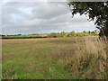 Stubble field by Mere Farm in Bergh Apton