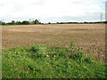 Stubble field north of White Heath Road in Bergh Apton