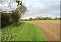 Fields south of White Heath House in Bergh Apton