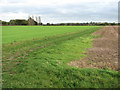 Footpath to Cooke's Road in Bergh Apton