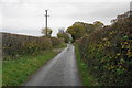 Lane near Drefor Farm in SY16 4PF
