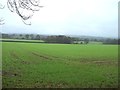 Fields near King's Grove in DE6 3BY