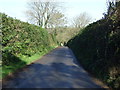 Lane with high banks in TR2 5LR