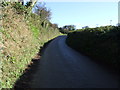 Country lane towards Ruan High Lanes in TR2 5NW