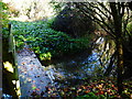 Footbridge west of Berry Court Farm in Pamber